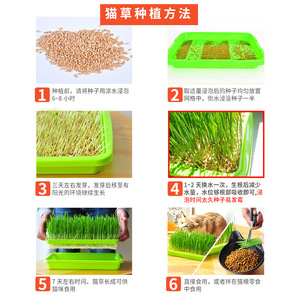 <b>Plastic</b> vegetable growing pots, balcony bean sprout seedling <b>trays</b>, hydroponic vegetable germination pots, sprouting pots with - Product Image 5