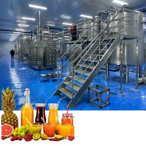 Línea de Producción de Piña Procesada, Máquina para Elaborar Jugos de Frutas, Produce Diversos Jugos como el de Naranja - Product Image 1