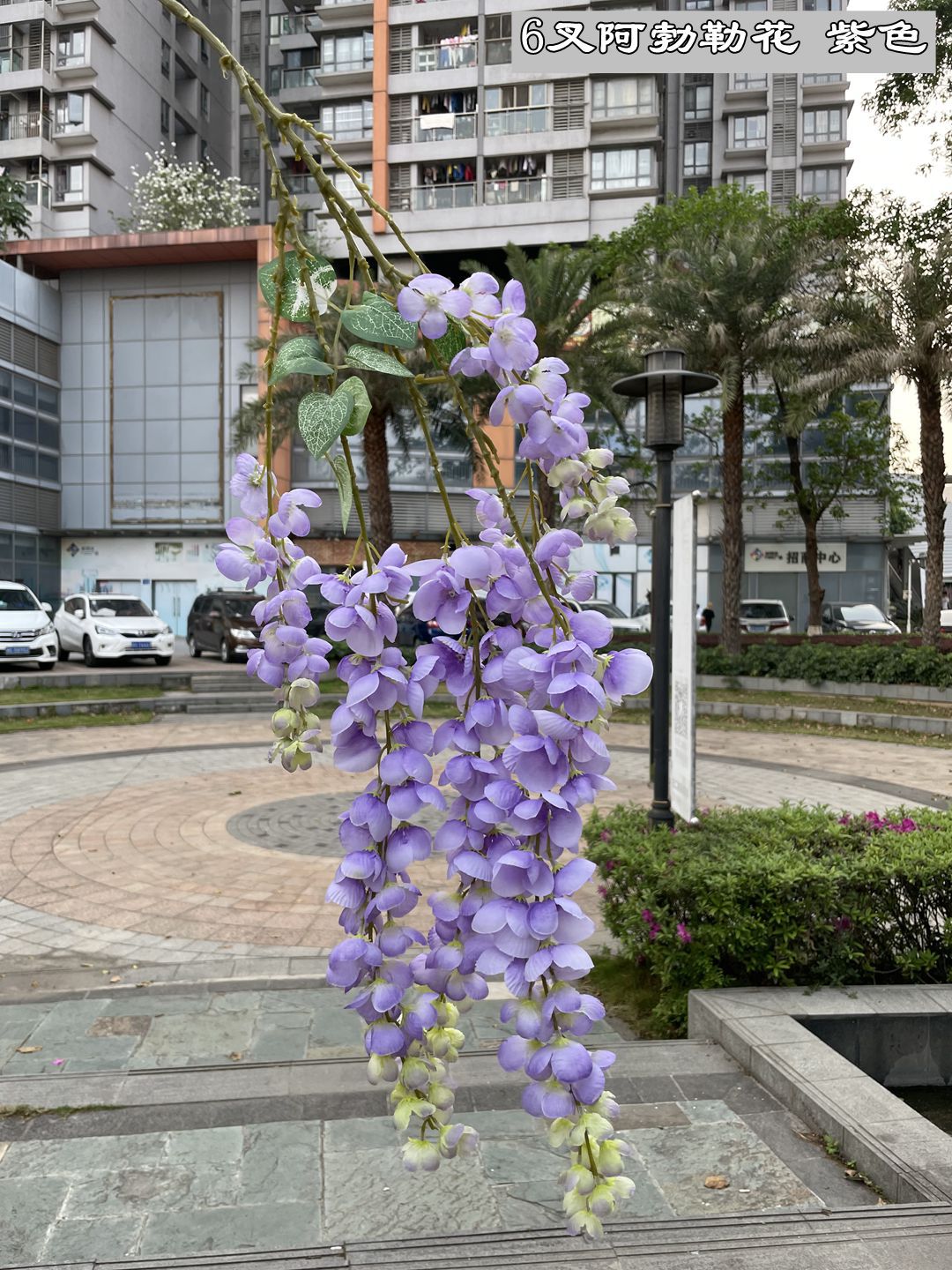 light purple wisteria vine