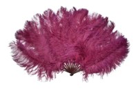 Grand éventail à main tenue plume d'autruche rouge pour femmes Costume Tea Party Holiday Supply belly Dance Bridal Wedding Decor Accessory