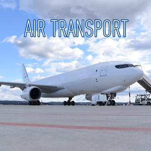 Dịch Vụ Vận Chuyển Vận Chuyển Hậu Cần RORO Tàu Thể Hiện Vận Chuyển Brazil Khô Tàu Hàng Hóa Để Bán - Product Image 2