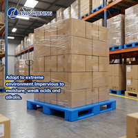 Palette en plastique industrielle robuste HDPE 1200x1000, empilable 4 directions, antidérapante, pour entrepôt pharmaceutique