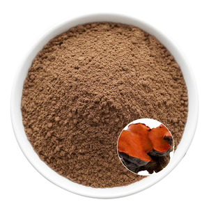 Pure <span class=keywords><strong>Antrodia</strong></span> Camphorata Extract-Suplemento de hierbas para productos naturales de bienestar - Product Image 3
