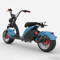 Le meilleur Cityco en Allemagne avec une autonomie de 120 km et un scooter électrique à pneus larges de 12 pouces avec certificat EEC/COC