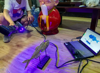 Services de scanner 3D pour l'ingénierie inverse/service de dessin CAO 3d industriel