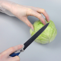 Gants en vinyle de qualité alimentaire pour usage domestique