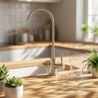 Robinet de cuisine en acier inoxydable à osmose inverse, haute qualité, très vendu, durable, facile à installer, eau froide manuelle, usage domestique, rotation 360°