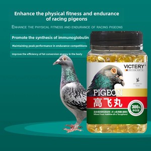 Píldoras Fly High, Aditivo Alimenticio Mixto para <span class=keywords><strong>Palomas</strong></span> de Competición, Mejora la Resistencia, Previene Emergencias, Regula el Estado Físico, Mejora - Product Image 4