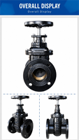 Vanne à opercule 5000 PSI DN15-DN100 en acier au carbone forgé, à brides et filetée, API6D, à tige montante, haute pression, pour tête de puits pétrolier et gazier, CE ISO