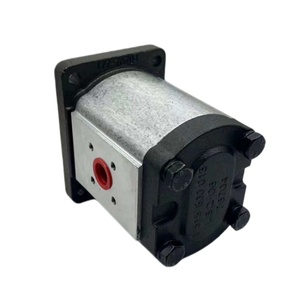 Pompa Idraulica a Ingranaggi Serie PHP Fornita dalla Fabbrica: PHP20.26D0-83E2-LBF/BD-N, PHP30.52D0-84E3-LEF/EE-N, PHP40.80D0-81E2-<span class=keywords><strong>LFE</strong></span>/EF-N - Product Image 2