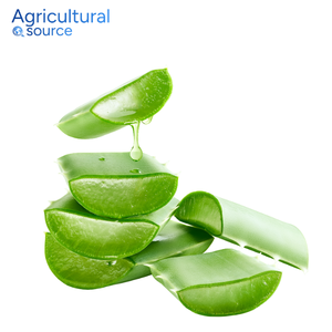 Aloe Vera Multiusos-Pulpa de aloe orgánica fresca-Adecuado para el cuidado de la piel, tratamientos para el cabello y alivio natural después del sol - Product Image 2