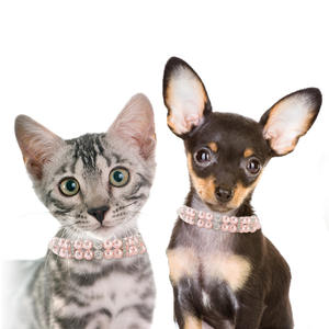 Collier à boucle en diamant pour chat et chien, petit animal de compagnie rose, Imitation de perle, corde de Traction, fournitures pour animaux de compagnie - Product Image 3