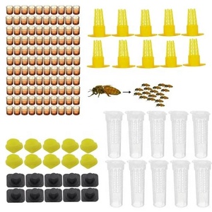 Kit d'élevage de reines d'abeilles, système d'apiculture pour ferme apicole, cages à reines en plastique - Product Image 1