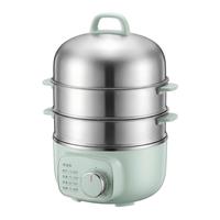 Cuiseur à œufs électrique automatique en acier inoxydable 304, double couche, arrêt automatique, minuterie 30 minutes, compact, pour petit-déjeuner domestique