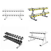 Support de rangement pour haltères à double niveau en acier robuste pour salle de sport commerciale et équipement de fitness à domicile