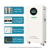 Batterie CKMINE 15kWh 51.2V 300Ah LiFePO4, cellules de qualité A, 8000 cycles, UN38.3, MSDS, garantie 5 ans, format vertical pour système de stockage solaire