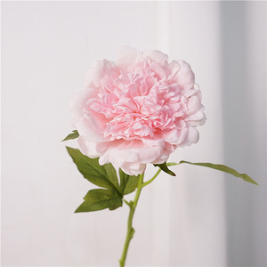 Flor Artificial de Peônia Branca <span class=keywords><strong>e</strong></span> Rosa de Alta Qualidade com Toque Realista em Seda <span class=keywords><strong>e</strong></span> Látex, Grande Cabeça, Haste Única, Modelo BF-PY02 Bloom Floral - Product Image 5
