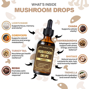 Suplemento Líquido en Gotas de Extracto de Hongo Reishi y Cordyceps con Melena de León, Marca Privada OEM, Todo en Uno, para Beber, para la Concentración y el Sistema Inmunitario - Product Image 2