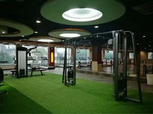 RUIBU-9013 <strong>Cable</strong> <strong>Crossover</strong> <strong>Machine</strong> /commercial Gym Equipment/equipment Fitness - Product Image 2