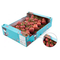 Precio de fábrica personalizado reciclado corrugado fuerte doble pared fruta Durian tomate vegetal embalaje caja de envío caja de cartón