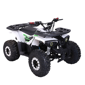 Popular Design Gasoline 125cc Racing Off Road Chain Drive Disc Quad Bike Beach ATV for Adult