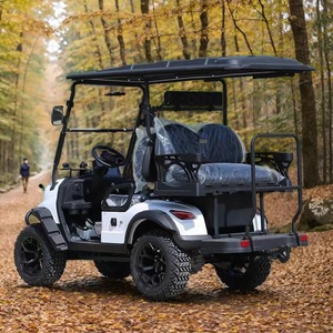 Carrito de Golf 2025, Modelo Eléctrico de 8 Asientos, Actualizable a 4x4, Velocidad de 30-50 km/h, Autonomía de 50-70 km, Certificado CE/EEC/GCC, Batería de 72V - Product Image 5