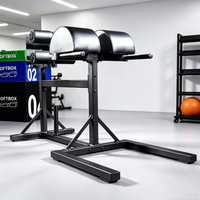 Machine GHD professionnelle multifonction pour l'hyperextension des fessiers et des ischio-jambiers, banc romain pour Crossfit et entraînement de force en salle de sport
