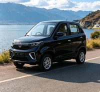 Venta Directa de Fábrica, Auto Eléctrico de Nueva Energía, Mini SUV de 4 Asientos con Certificación EEC, COC y CE, Vehículo Eléctrico de Cuatro Ruedas