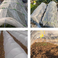 Serre commerciale intelligente à simple portée pour la culture de tomates, serre en polycarbonate