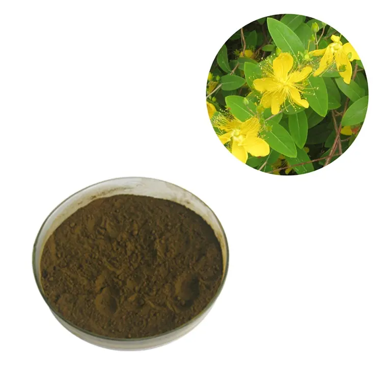 Pasokan Pabrik 0.3% Ekstrak Hypericin St John 'S Wort Ekstrak Hypericum Perforatum