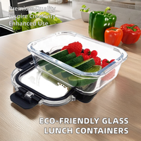 Boîte à Bento pour Enfants, Conteneur Alimentaire Rectangulaire au Design Classique « Easying » avec Couvercle Verrouillable et Couvercle en PP, Idéale pour le Camping
