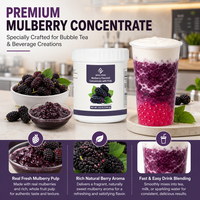 Fournisseur de Bubble Tea, Usine Source, Marque Internationale Dayou, Concentré aromatisé à la mûre de 1,2 kg avec pulpe pour les magasins de thé au lait