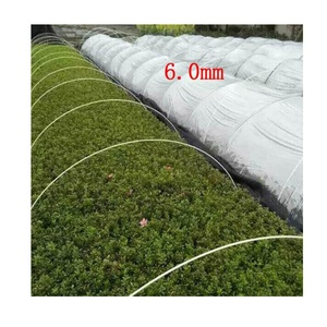 Venta al por mayor Pultruded Frp Round <span class=keywords><strong>6mm</strong></span> <span class=keywords><strong>Varilla</strong></span> <span class=keywords><strong>de</strong></span> <span class=keywords><strong>fibra</strong></span> <span class=keywords><strong>de</strong></span> <span class=keywords><strong>vidrio</strong></span> para soportes <span class=keywords><strong>de</strong></span> invernadero - Product Image 2