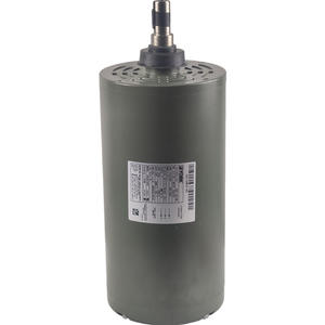 Motor trifásico York de 56 mm con marco totalmente cerrado y montaje de brida para unidades de aire acondicionado central - Product Image 1