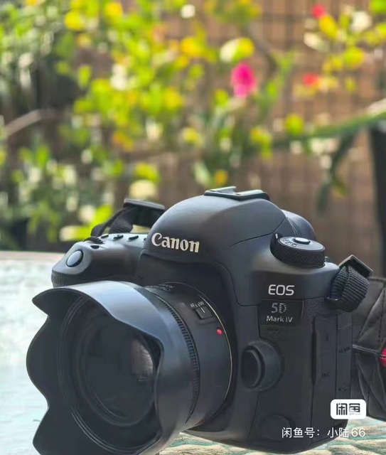 USD888 kit=usd798 5D4 5D Mark 4+usd90 lens 50mm F1.8 Original Ca non Second hand used Camera DSLR Professional Digital Camera