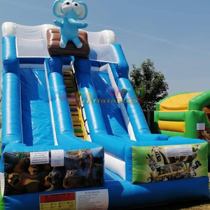 Tobogán inflable de Madagascar para niños, casa de brinco inflable para exteriores, tobogán inflable seco de doble carril. - Product Image 2