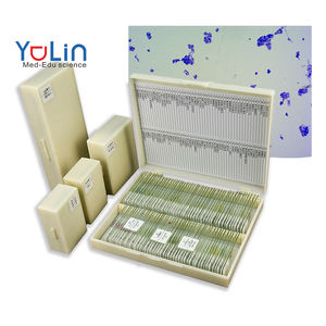 Lames de microbiologie médicale Lames de microscope 50 pièces Lames éducatives préparées Éducation de microbiologie médicale - Product Image 1