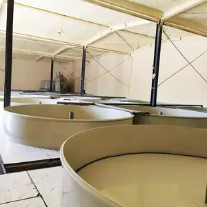 Circular Fish Farm For Commercial Fish Farm Ras System Equipment Customize Indoor Ras Fish Farming