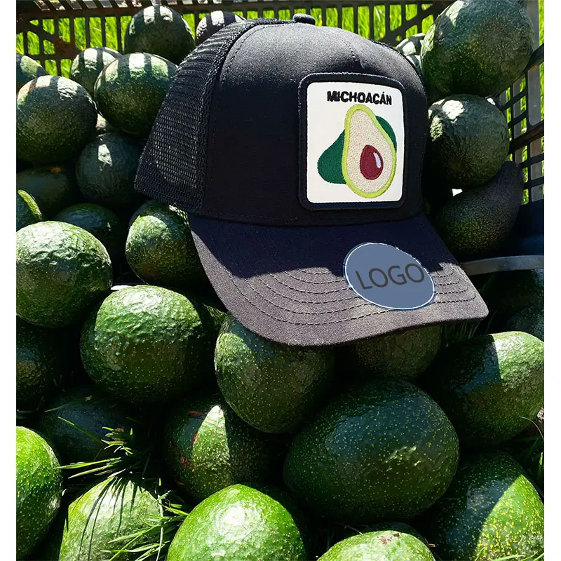 High quality wholesale classic custom design Avocado embroidery logo 5panel Mexico Michoacan State trucker hat