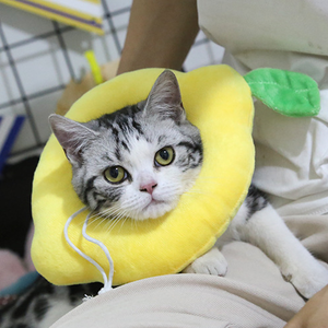 Wholesale Pet Elizabeth <strong>Collar</strong> Soft Sponge Anti-licking Anti-Biting <strong>Collar</strong> Cat <strong>Dog</strong> Grooming Protection <strong>Head</strong> Cat <strong>Collar</strong> - Product Image 4