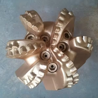 2025 nouvelles ailes 6 lames Concave PDC Bits 9 1/2 pouces PDC Drag Bit pour le forage de puits d'eau pour le forage de puits de pétrole
