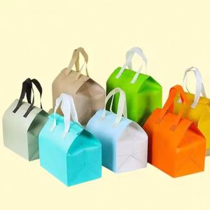 Sac isotherme en papier kraft non tissé pour aliments ou boissons à emporter, sac à déjeuner thermo-isolant, sacs de refroidissement pour chiens - Product Image 6