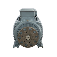 Niedrige Geschwindigkeit 5 kW 5 kW 10 kW 10 kW Wind generator Permanent magnet generator Vertikaler Wind generator