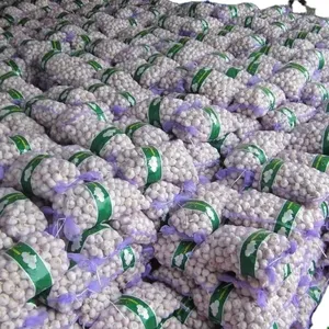 fresh garlic 10kg PACKAGE wholesale export