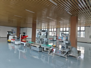 Brazo Robótico Colaborativo YB-MD16, Brazo Robótico de 16 kg con Cámara, Gran Venta - Product Image 6