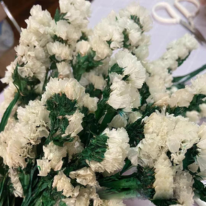 Decoración de Lujo para el Hogar, Flores Preservadas, Plantas, No <span class=keywords><strong>Me</strong></span> Olvides, Ramo Duradero, Boda, Año Nuevo Chino, Morado, Multicolor - Product Image 6