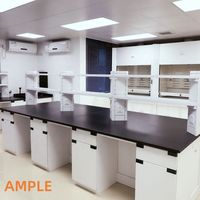 Fournisseur de bancs de travail de laboratoire chimique de haute qualité à prix abordable, banc de laboratoire physique avec étagères à réactifs