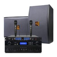 Kit combiné amplificateur/microphone pour salle de réunion professionnelle SHILE AV108 BX119, système audio de divertissement KTV à domicile
