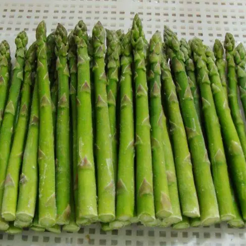 Hot Selling IQF Frozen Green Asparagus Spears