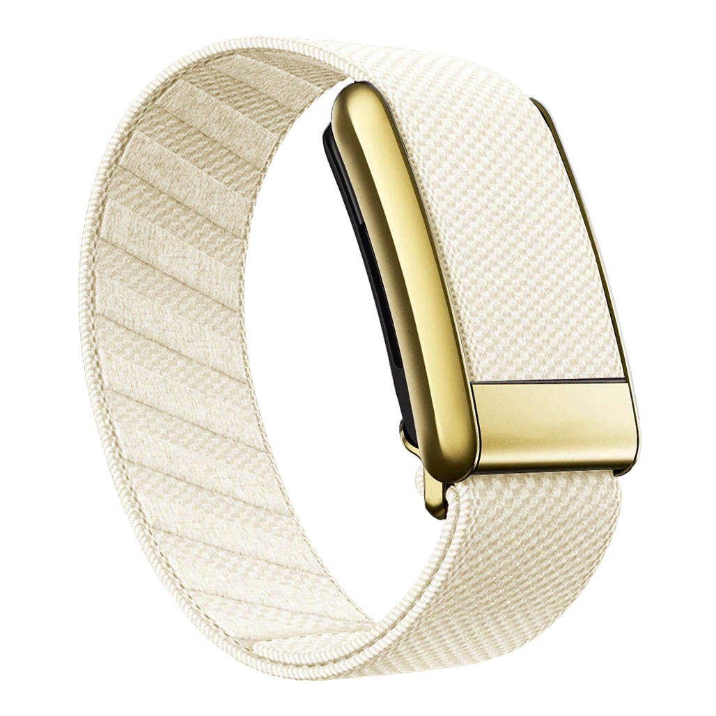 2#-Gold Frame *Only Strap